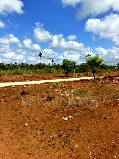 Prime 1/8th Acre Plots,Kilifi Tezo. - Image 5
