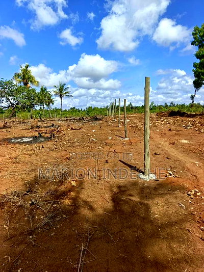 Prime 1/8th Acre Plots,Kilifi Tezo. - Image 9