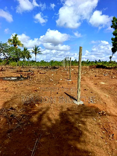 Prime 1/8th Acre Plots,Kilifi Tezo. - Image 3