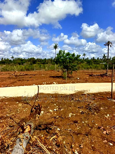 Prime 1/8th Acre Plots,Kilifi Tezo. - Image 7