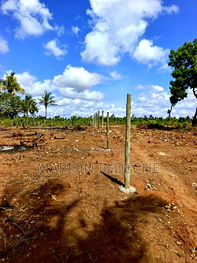 Prime 1/8th Acre Plots,Kilifi Tezo. - Image 4