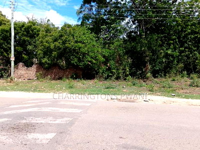 4 Acres, Along Diani Beach Road, 2nd Row - Image 5