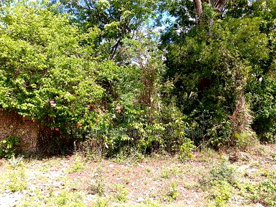 4 Acres, Along Diani Beach Road, 2nd Row - Image 12