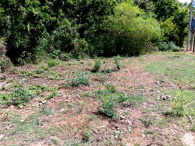 4 Acres, Along Diani Beach Road, 2nd Row - Image 11