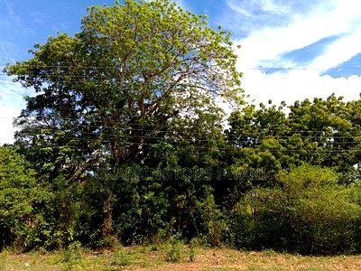 4 Acres, Along Diani Beach Road, 2nd Row - Image 10