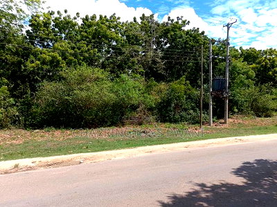 4 Acres, Along Diani Beach Road, 2nd Row - Image 6