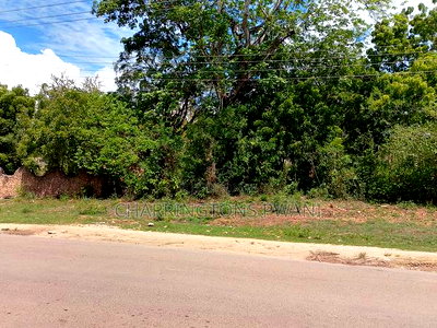 4 Acres, Along Diani Beach Road, 2nd Row - Image 7