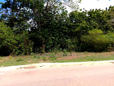 4 Acres, Along Diani Beach Road, 2nd Row - Image 8