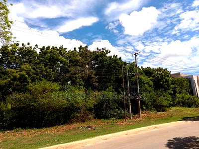 4 Acres, Along Diani Beach Road, 2nd Row - Image 1