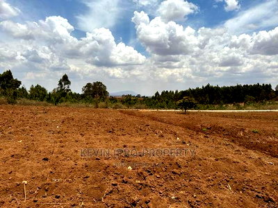 Residential Half Acre Land for Sale in Kikuyu, Kamangu. - Image 5