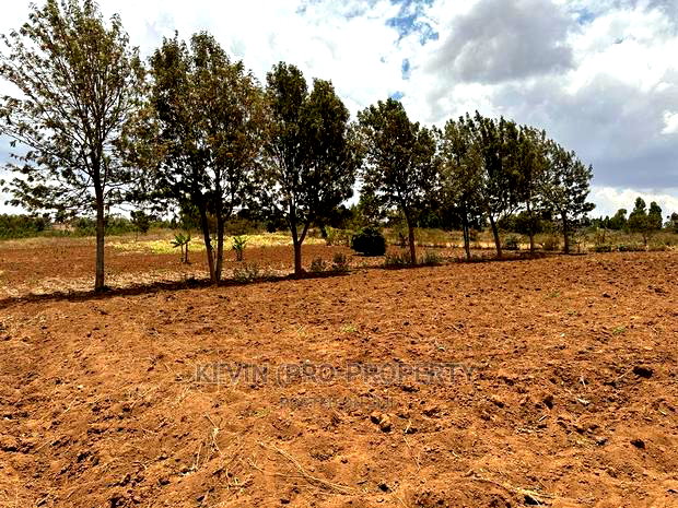 Residential Half Acre Land for Sale in Kikuyu, Kamangu.