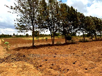 Residential Half Acre Land for Sale in Kikuyu, Kamangu. - Image 7
