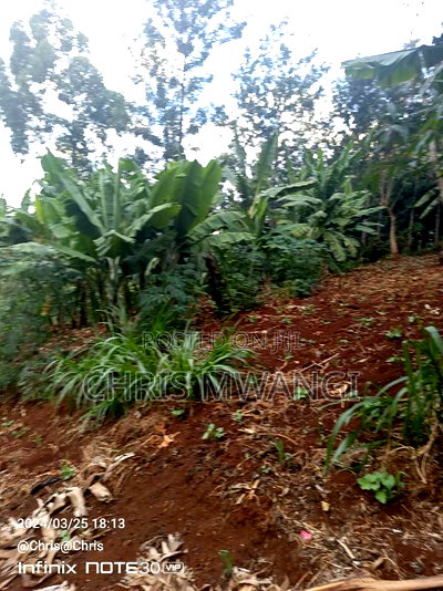 Very Clean Title Deed - Image 5