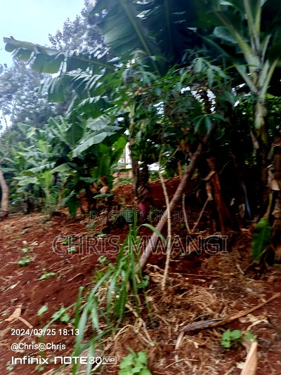 Very Clean Title Deed - Image 3