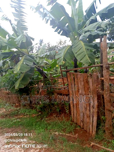 Very Clean Title Deed - Image 4