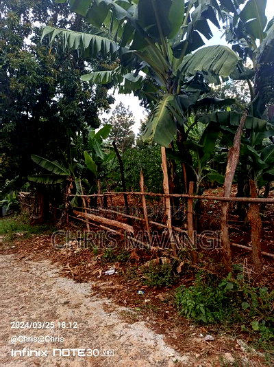 Very Clean Title Deed - Image 9