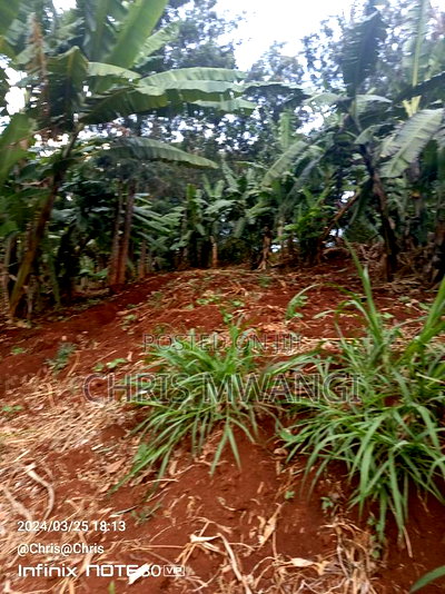 Very Clean Title Deed - Image 7