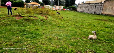 Commercial Plot for Sale in Maili Nne Flyover - Image 7