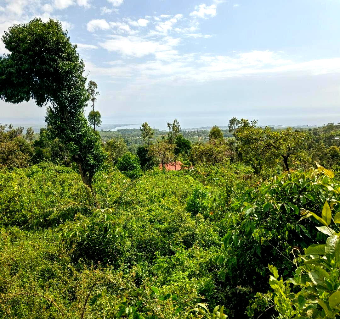 KSh 2.4M Dago Plot