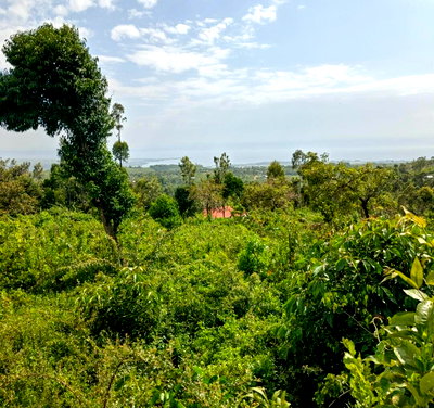 KSh 2.4M Dago Plot