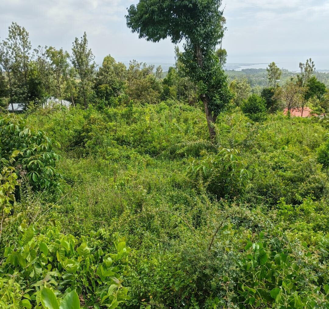 KSh 2.4M Dago Plot