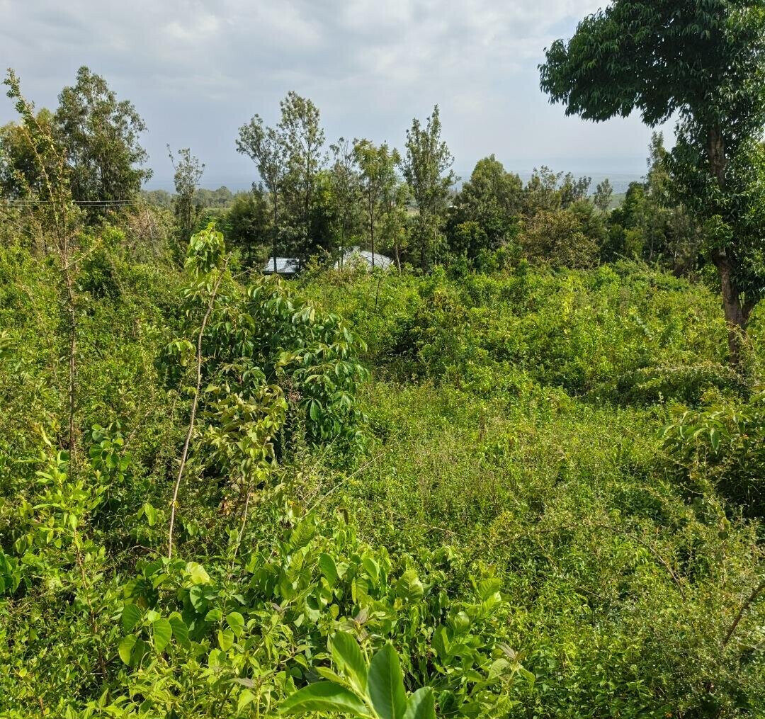 KSh 2.4M Dago Plot