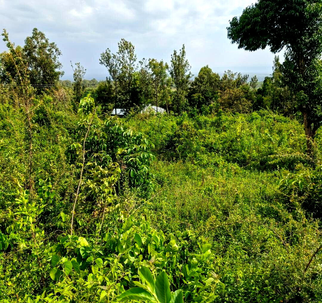KSh 2.4M Dago Plot