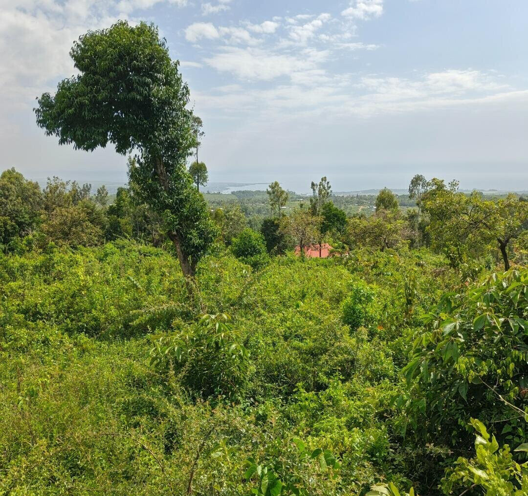 KSh 2.4M Dago Plot