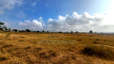50*100ft Plots For Sale In Mariakani - Image 6