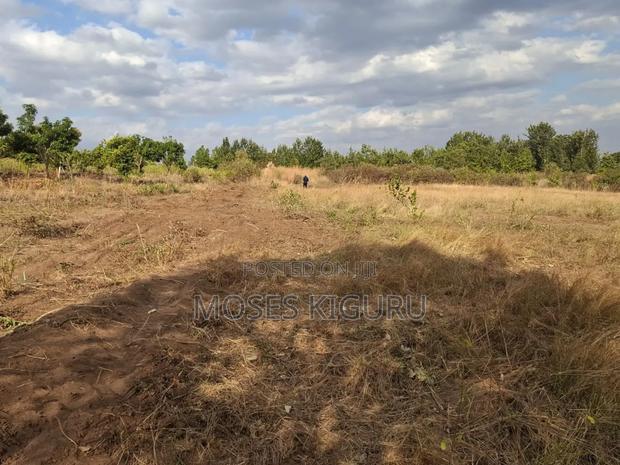 Mananja, 50x100 Plots.