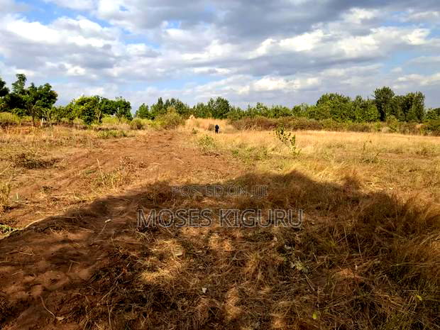 Mananja, 50x100 Plots.