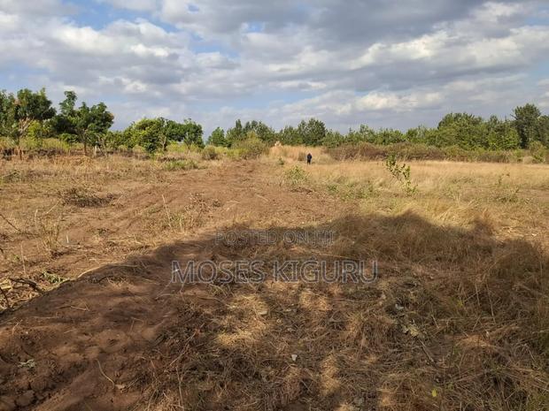 Mananja, 50x100 Plots.