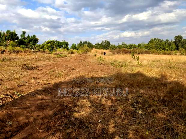 Mananja, 50x100 Plots.