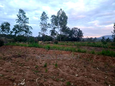 Mananja, 50x100 Plots. - Image 6