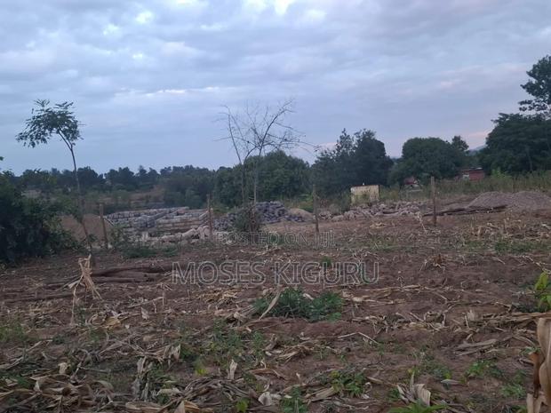 Mananja, 50x100 Plots.