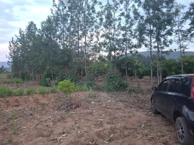 Mananja, 50x100 Plots.