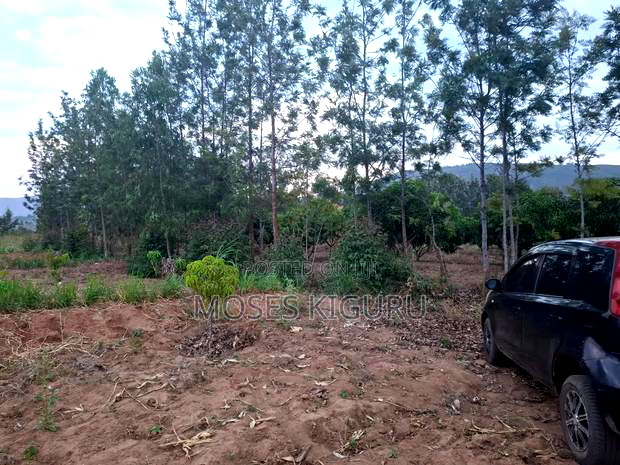 Mananja, 50x100 Plots.