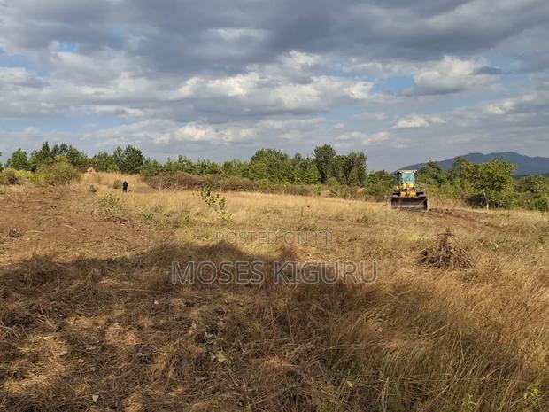 Mananja, 50x100 Plots.