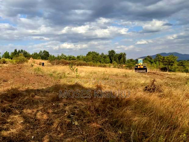Mananja, 50x100 Plots.