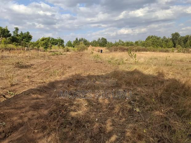 Mananja, 50x100 Plots.