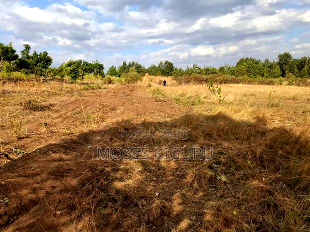 Mananja, 50x100 Plots.