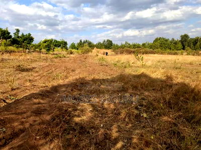 Mananja, 50x100 Plots. - Image 4