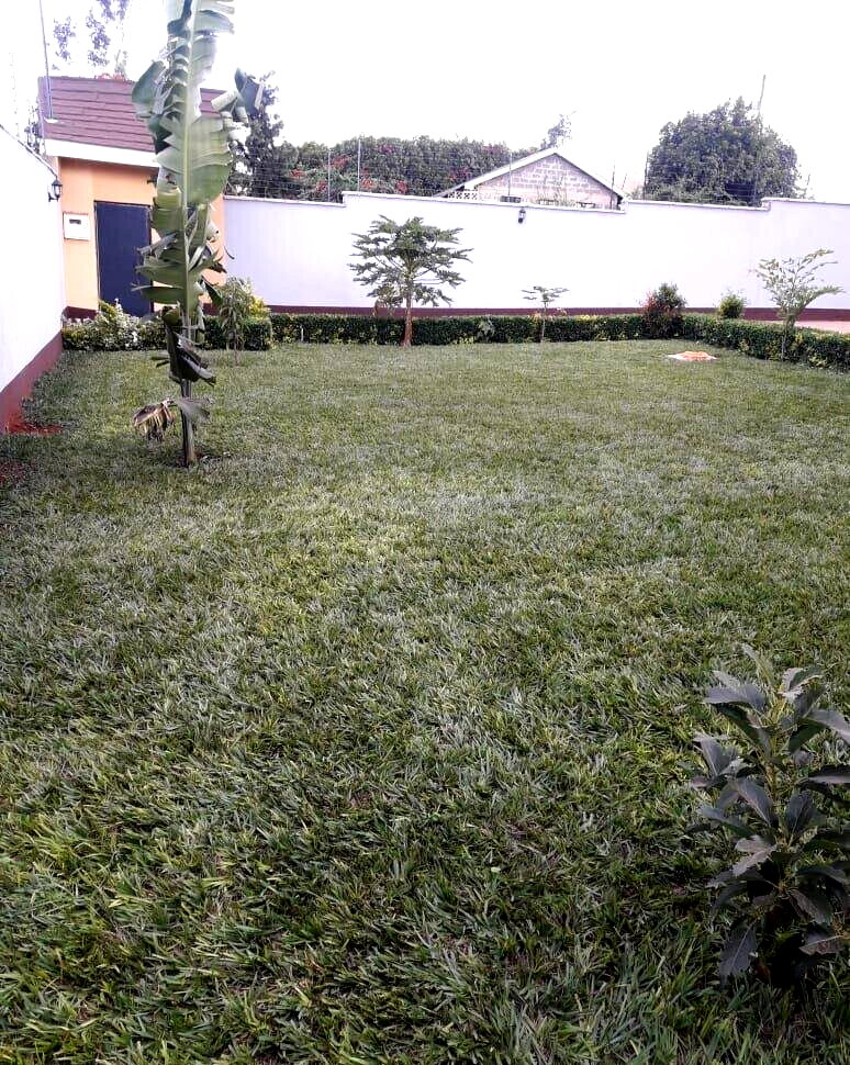 4BR Mansionette with DSQ & Study Room - Golf View, Thika