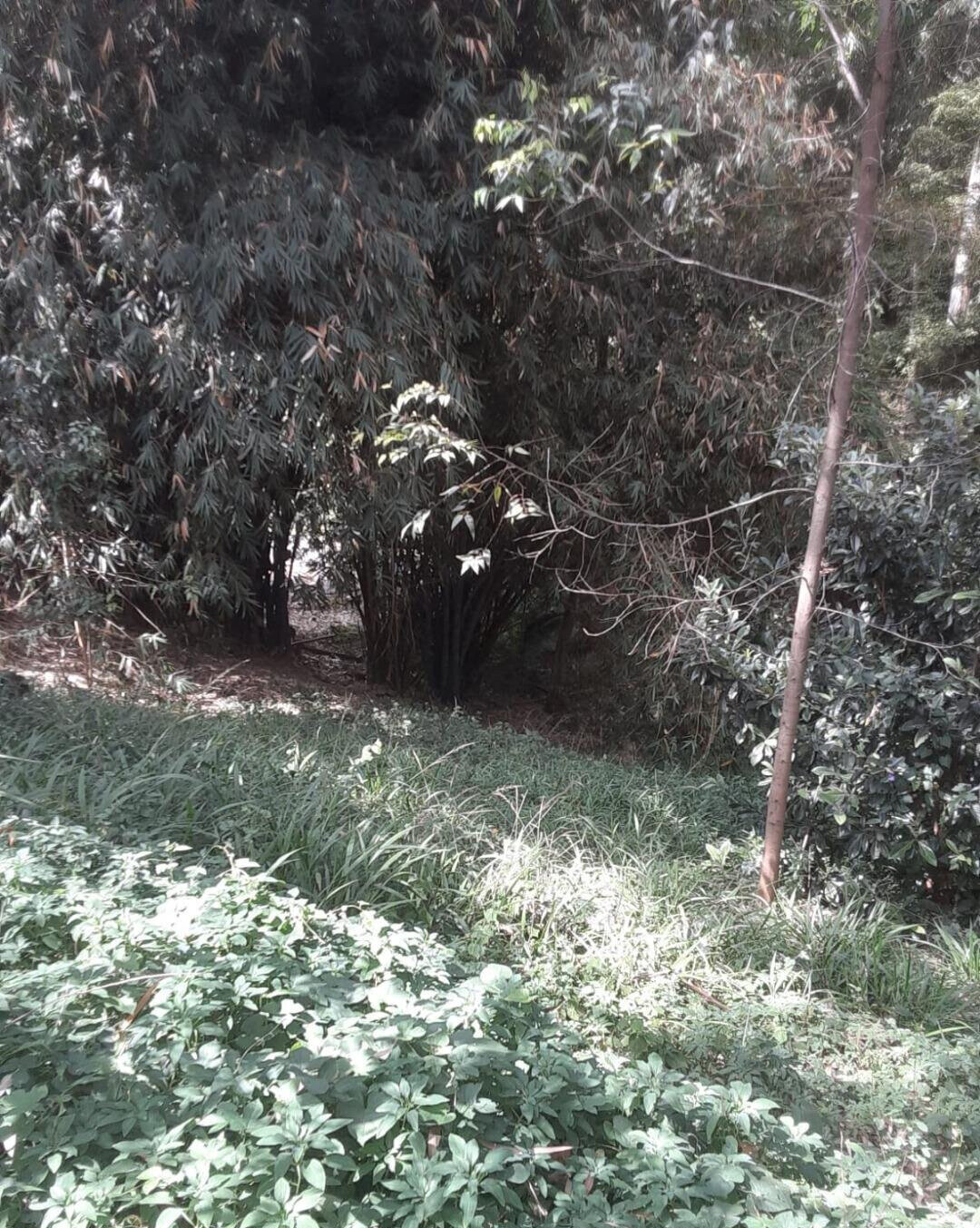 Half Acre Kitisuru Plot at KSh 65M
