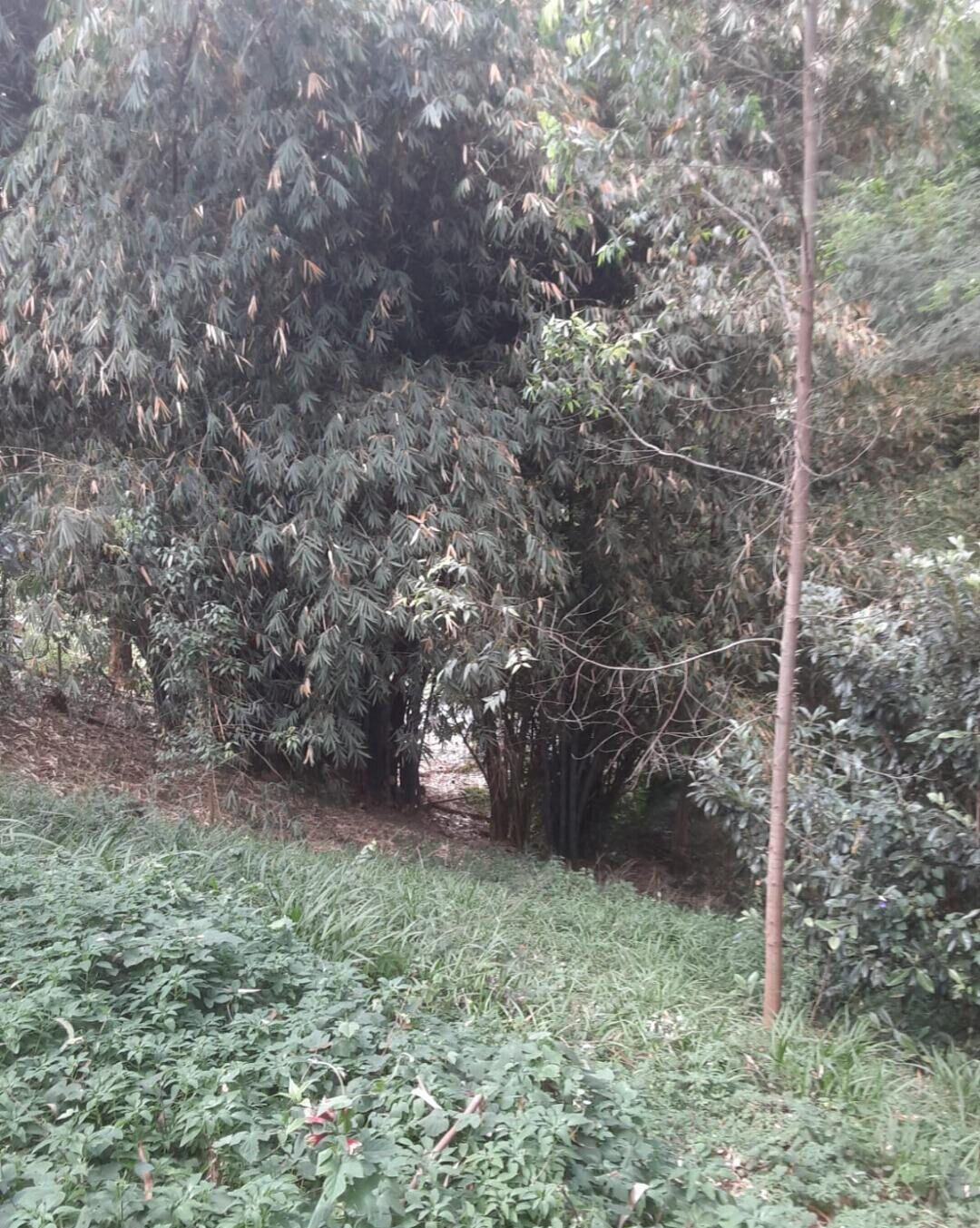 Half Acre Kitisuru Plot at KSh 65M