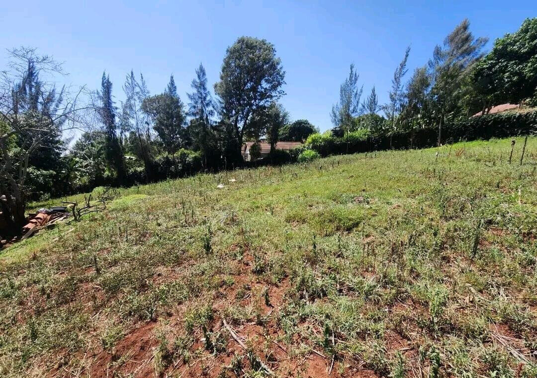 Quarter Acre Plot with Garden at KSh 13M