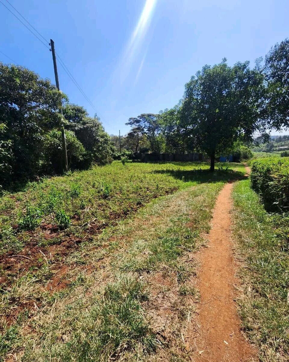 Quarter Acre Plot with Garden at KSh 13M