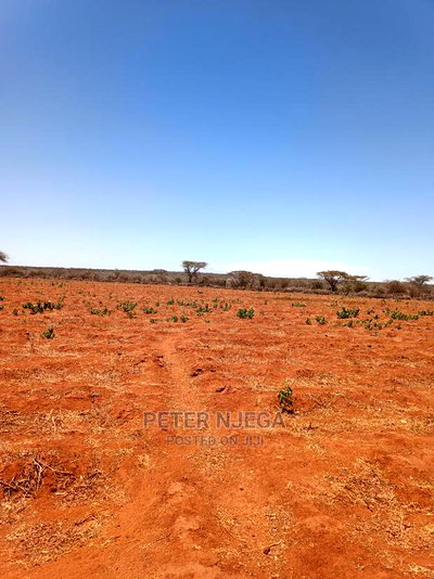 42 Acres in Eselenkei Kajiado at 11m the Whole Block - Image 5
