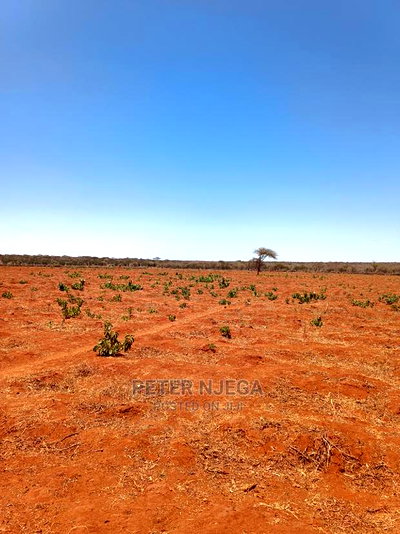 42 Acres in Eselenkei Kajiado at 11m the Whole Block - Image 6