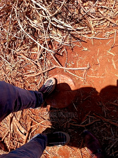 42 Acres in Eselenkei Kajiado at 11m the Whole Block - Image 1